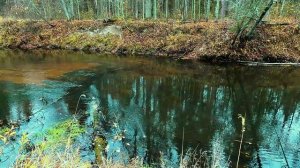 р.Рутка.Марий Эл.    Рыбалка с Владимиром.