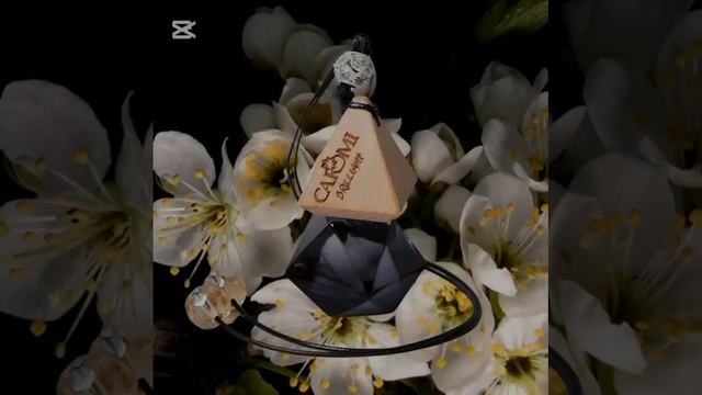 Ароматизатор в машину для АВТОЛЕДИ от КАРОМИ