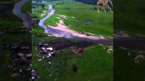 гигантские сиреноголовые