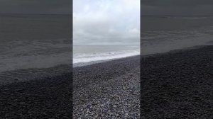 Пляж Сукко 26.02.2026. Репортаж Светланы Тихоновны