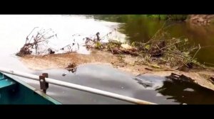 поездка за воблерами ЧАСТЬ 51