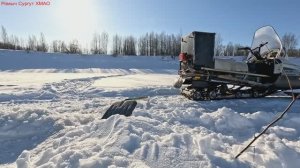 Жерлицы проверка. 17 день.