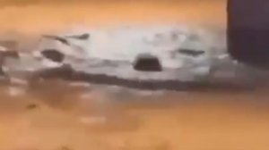 Гробы проплыли по городским улицам во время наводнения в Бразилии