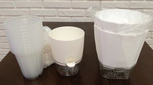 Обзор моих цветочных покупок