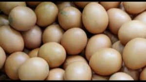 Чехия в декабре вернулась к закупкам куриных яиц у российских производителей