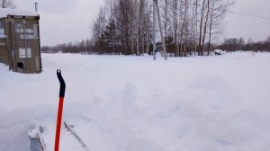 Готовимся к выставке пчёл