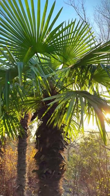 Февраль — это зима без суеты 🌅