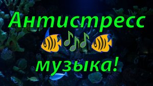 🐠 УСПОКАИВАЮЩАЯ МУЗЫКА ДЛЯ СНА 🎵 РАССЛАБЛЯЮЩАЯ РЕЛАКС МУЗЫКА ДЛЯ ДУШИ 🎵 ДЗЕН МУЗЫКА ДЛЯ МЕДИТАЦИИ