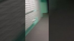 квартира студия