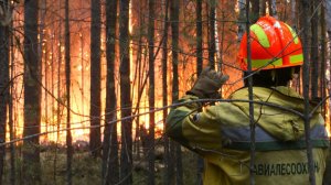 10 тысяч км - в Югре определили маршруты мониторинга лесопожарной обстановки