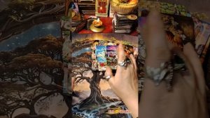 Как прошла чистка?