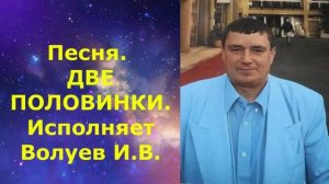 1450.В.Ю. ВИДЕО. Песня. ДВЕ ПОЛОВИНКИ. Исполняет Волуев И.В.