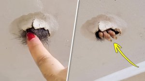 🔥 На Камеру Попало ТАКОЕ, Что НИКТО не Должен Был Увидеть.