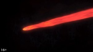 Мальчик и птица - 2026 (02)