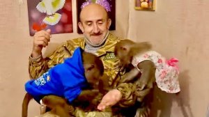 Гамадрилы УСПОКОИЛИСЬ и Степа с Маней уселись к Владу на колени кушать семечки и поболтать)))