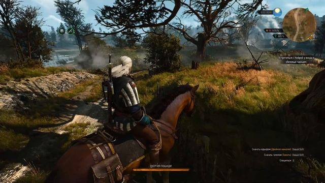 The Witcher 3 Серия 8