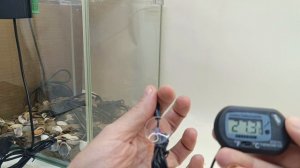 Высокоточный термометр цифровой DT-01 для аквариума