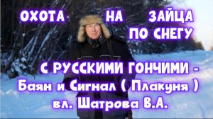 ОХОТА НА ЗАЙЦА ПО СНЕГУ С РУССКИМИ ГОНЧИМИ - Баян и Сигнал ( Плакуня ) вл. Шатрова В.А.#топ#hunting