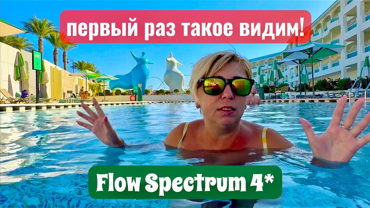 Мышь в номере! Flow Spectrum 4＊ Египет Хургада. Отдых в Египте