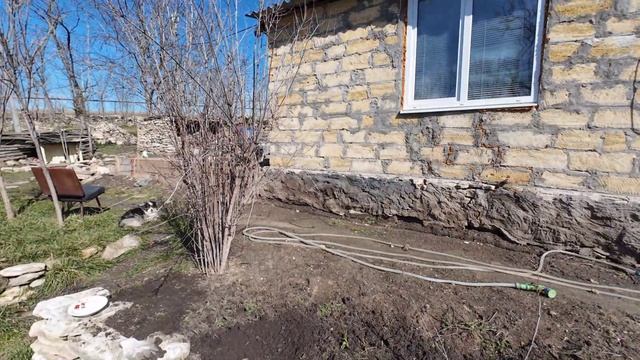 25,27 февраля 2026г. Расцвела камнеломка на подоконнике.Почти ничего не делала)) смотреть онлайн