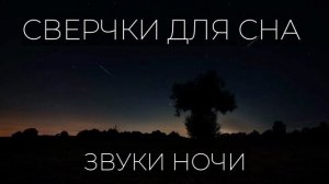 звук ночного леса звуки сверчков для сна/ природа красота