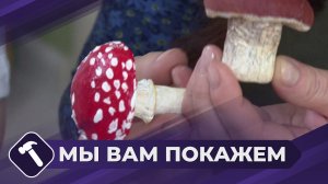 Мы вам покажем: Поделки из туалетной бумаги