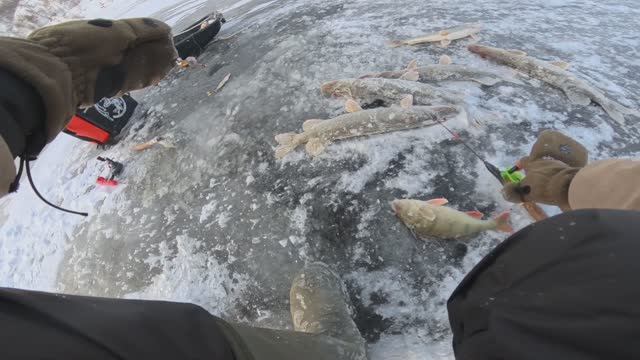 ДЕНЬ ОТЛИЧНЫХ СЕВЕРНЫХ ЩУК! смотреть онлайн