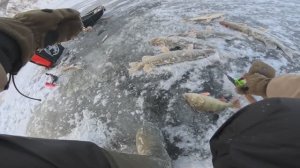 ДЕНЬ ОТЛИЧНЫХ СЕВЕРНЫХ ЩУК!