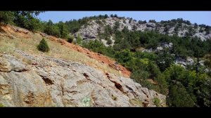 Поляна для отдыха на дикой природе...