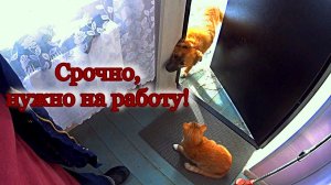 Простая жизнь в деревне. Обустройство дома. Мотивация на уборку.