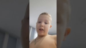 как ухаживать за шотландским прямоухим котом