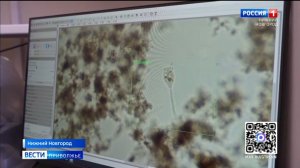 Пусконаладочные работы на нижегородских очистных сооружениях продолжаются