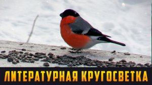 ЛИТЕРАТУРНАЯ КРУГОСВЕТКА - Зимы последнее дыхание. Выпуск 28.02.26 (12+)