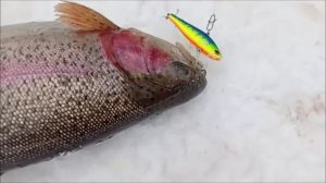 Раттлины, "трупик" и stretch. Спорт-зона. Клёвое место Лосиный остров.