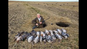 Отличная охота на белолобого гуся и утку в Казахстане 2025 г.