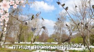 С добрым утром весны!)