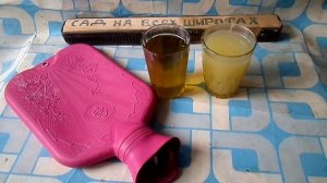 КАК Я ЧИСТИЛ ПЕЧЕНЬ ОЛИВКОВЫМ МАСЛОМ И СОКА ЛИМОНА ТРИ ВЕЧЕРА