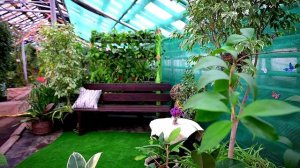 В преддверии 8 марта в Твери будет организована продажа цветов