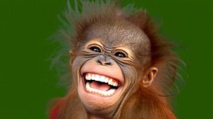 Смешная обезьянка 08_encoded