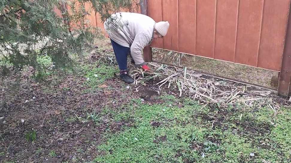 Хочется, не хочется, а надо! 😊Жизнь станичная на пенсии. смотреть онлайн