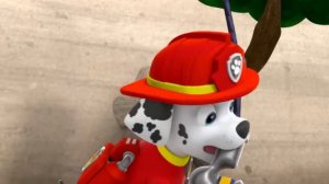 Щенячий патруль ｜ 150 минут новых спасений Щенячьего пат