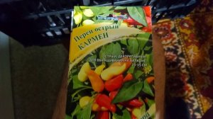 Пришла пора сажать перцы.