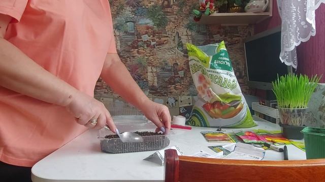 Первые посевы 2026 года