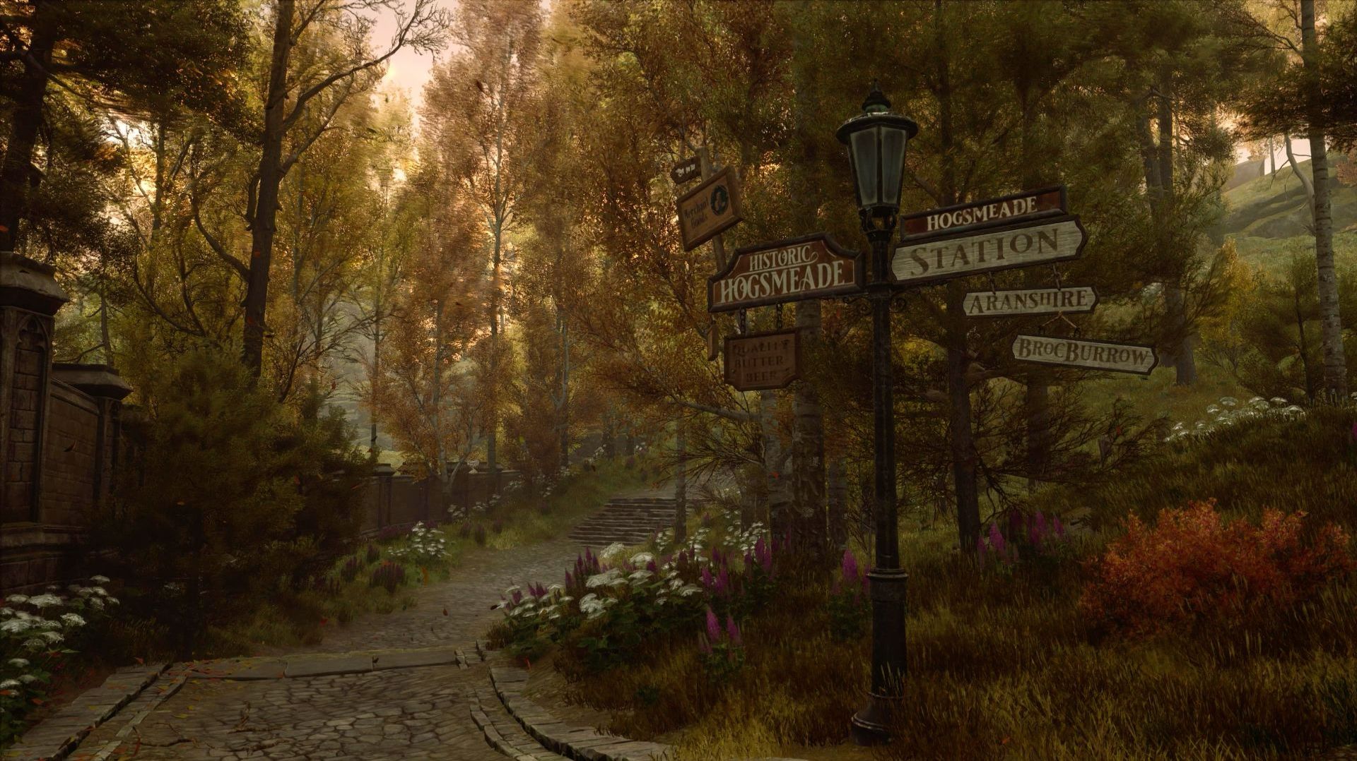 Hogwarts Legacy. Часть 5. Грабёж и браконьерство