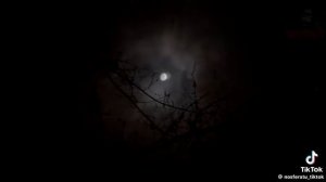 638fa0c9075b2a79fc1844f93e8225a0.mp4