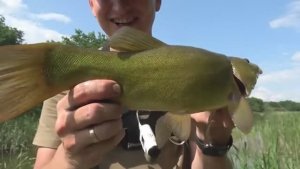 ТАКОГО Я ЕЩЕ НЕ ЛОВИЛ! ВОТ ЭТО РАЗМЕР!  ОБАЛДЕННАЯ РЫБАЛКА НА ПОПЛАВОК! Ловля сазана.