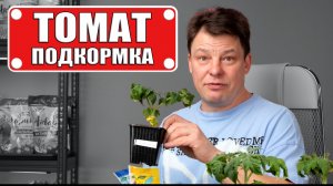 Вашей рассаде томатов будут завидовать все соседи или как, чем и когда подкармливать рассаду томатов