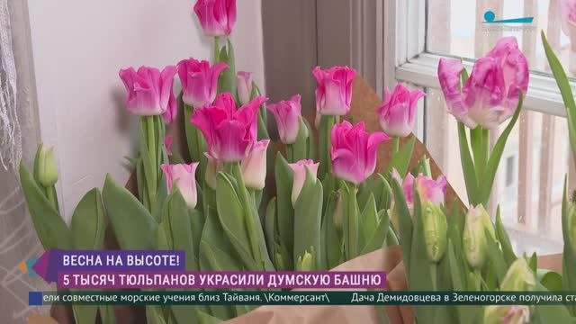 Весна на высоте Думской башни смотреть онлайн
