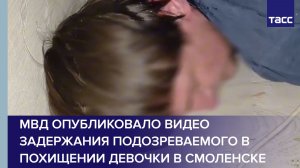 МВД опубликовало видео задержания подозреваемого в похищении девочки в Смоленске