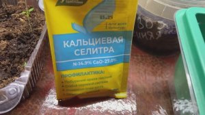 Кальциевая селитра. Подкормка рассады. 26.02.26